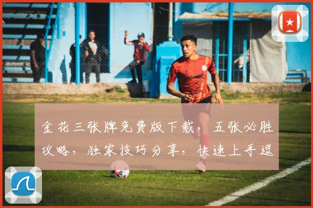 金花三张牌免费版下载，五张必胜攻略，独家技巧分享，快速上手逗乐赢
