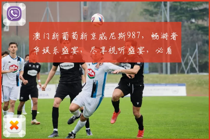 澳门新葡萄新京威尼斯987，畅游奢华娱乐盛宴，尽享视听盛宴，必看攻略