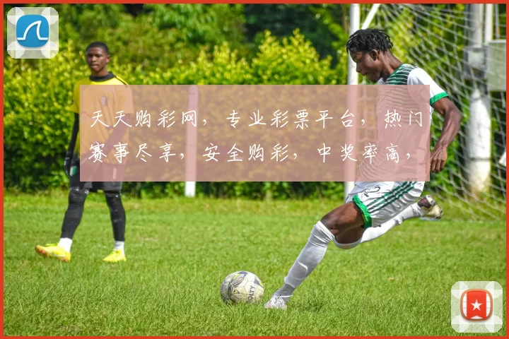 天天购彩网，专业彩票平台，热门赛事尽享，安全购彩，中奖率高，三重惊喜，不容错过
