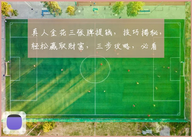 真人金花三张牌提钱，技巧揭秘，轻松赢取财富，三步攻略，必看