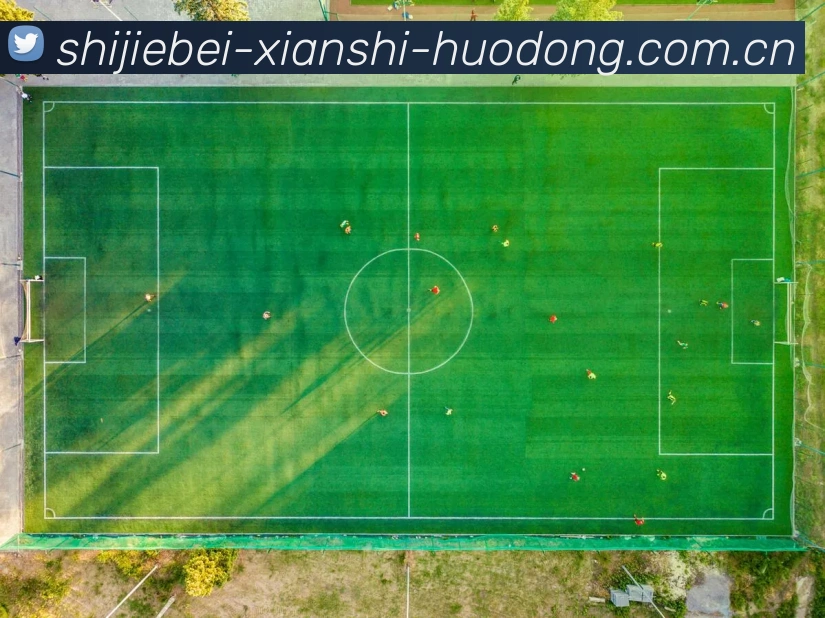 奖项证书